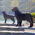 Promotional cast copper metal craft high quality bronze dog statue for sale
